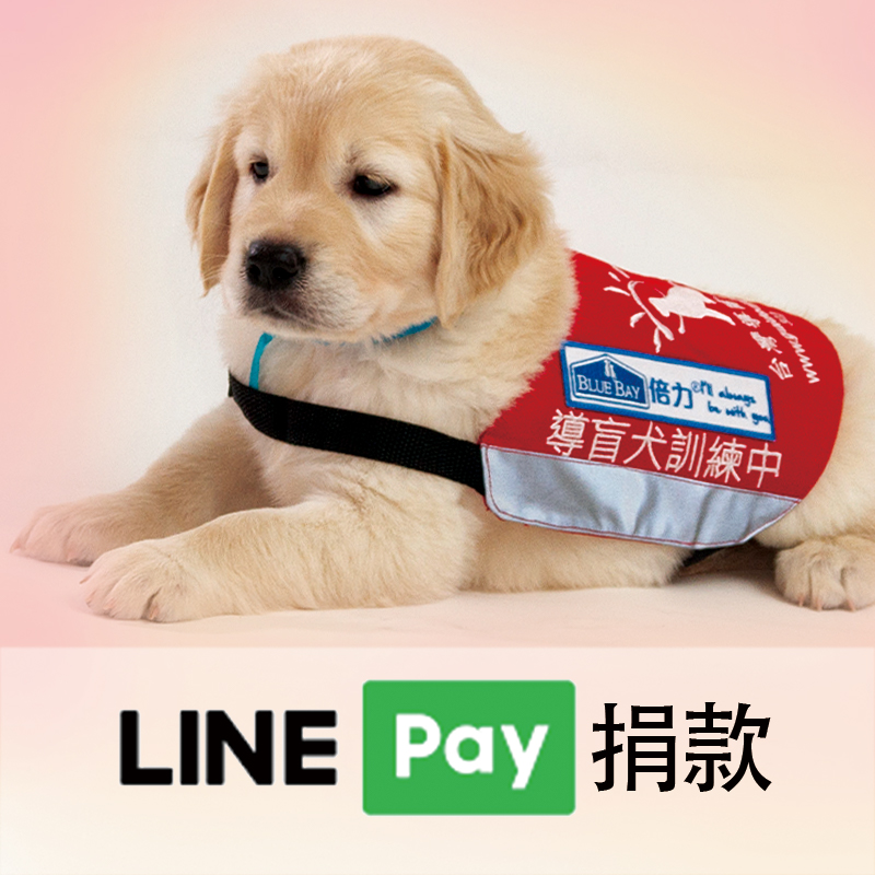 LINE Pay 捐款